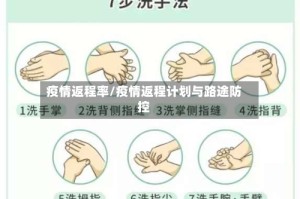 疫情返程率/疫情返程计划与路途防控