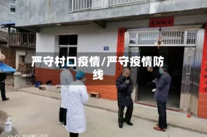 严守村口疫情/严守疫情防线