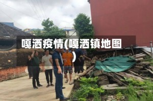 嘎洒疫情(嘎洒镇地图)