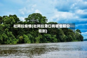 杜阿拉疫情(杜阿拉港口有哪些船公司到)