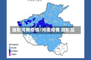 当前河南疫情/河南疫情 现阶段