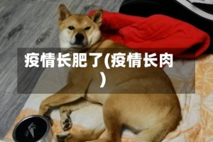 疫情长肥了(疫情长肉)