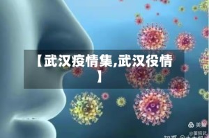 【武汉疫情集,武汉役情】