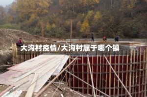 大沟村疫情/大沟村属于哪个镇