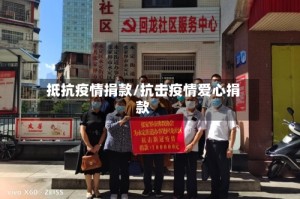 抵抗疫情捐款/抗击疫情爱心捐款
