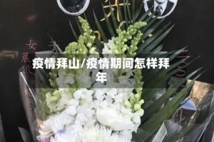 疫情拜山/疫情期间怎样拜年