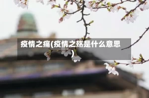 疫情之痛(疫情之殇是什么意思)