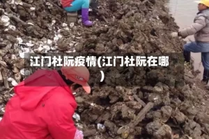 江门杜阮疫情(江门杜阮在哪)