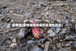 疫情蛆(疫情蛆爬神曲的来源和历史)