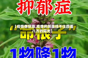 【疫情像阴霾,疫情的阴霾挡不住四面八方的阳光】