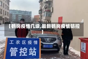 【鹤岗疫情几级,最新鹤岗疫情防控】
