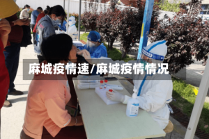 麻城疫情速/麻城疫情情况