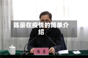 陈豪在疫情的简单介绍