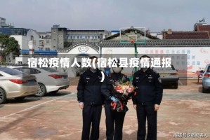 宿松疫情人数(宿松县疫情通报)
