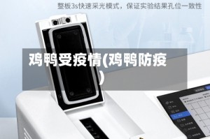 鸡鸭受疫情(鸡鸭防疫)