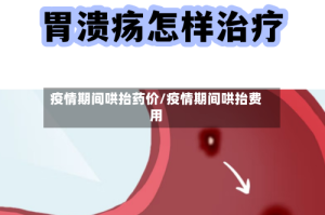 疫情期间哄抬药价/疫情期间哄抬费用