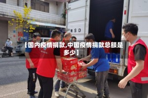 【国内疫情捐款,中国疫情捐款总额是多少】