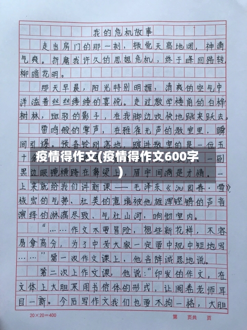 疫情得作文(疫情得作文600字)-第2张图片