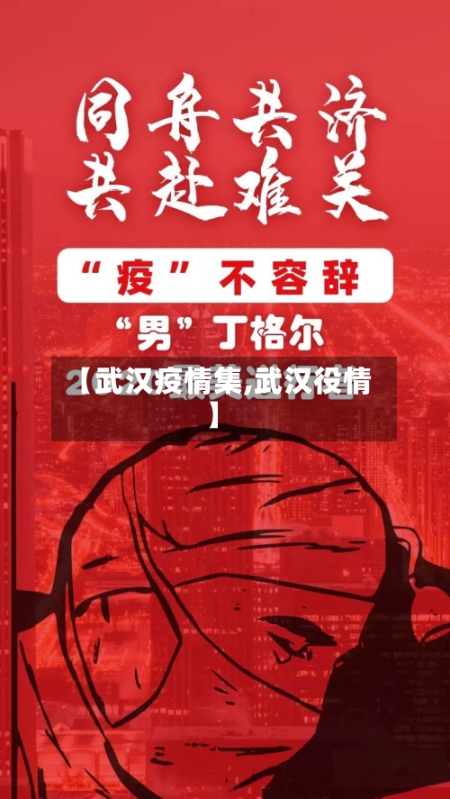 【武汉疫情集,武汉役情】-第3张图片