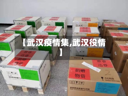 【武汉疫情集,武汉役情】-第2张图片