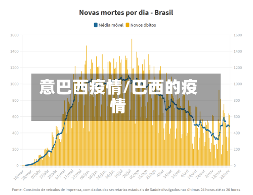 意巴西疫情/巴西的疫情-第1张图片