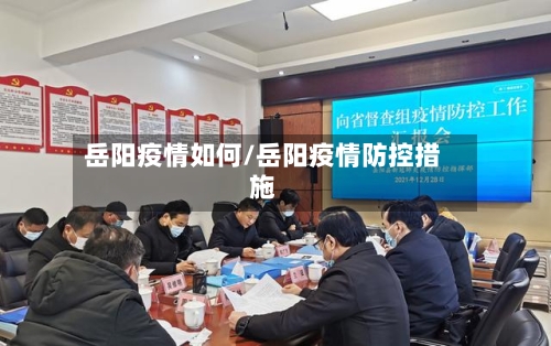 岳阳疫情如何/岳阳疫情防控措施-第2张图片