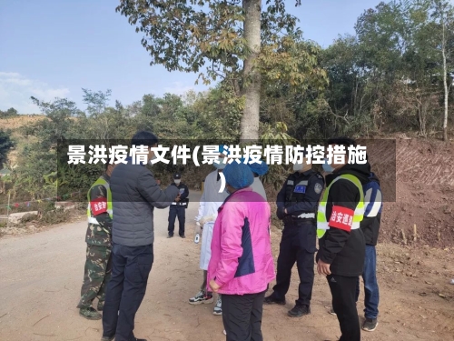 景洪疫情文件(景洪疫情防控措施)-第1张图片