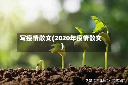 写疫情散文(2020年疫情散文)-第1张图片