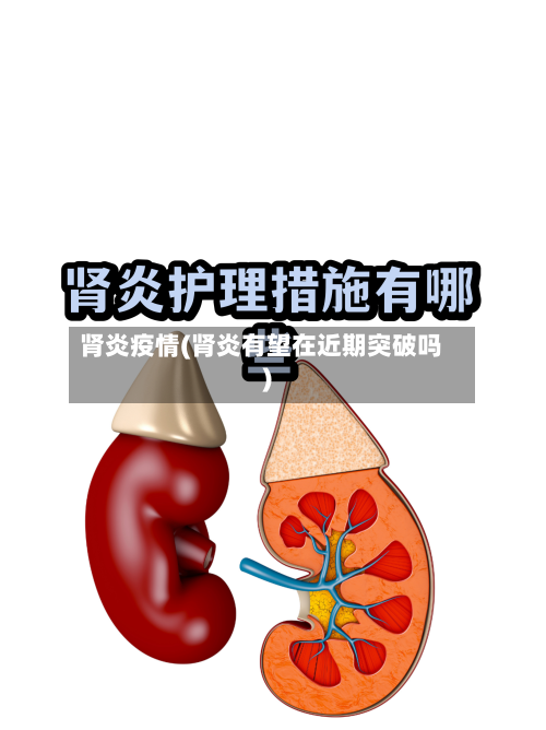 肾炎疫情(肾炎有望在近期突破吗)-第2张图片