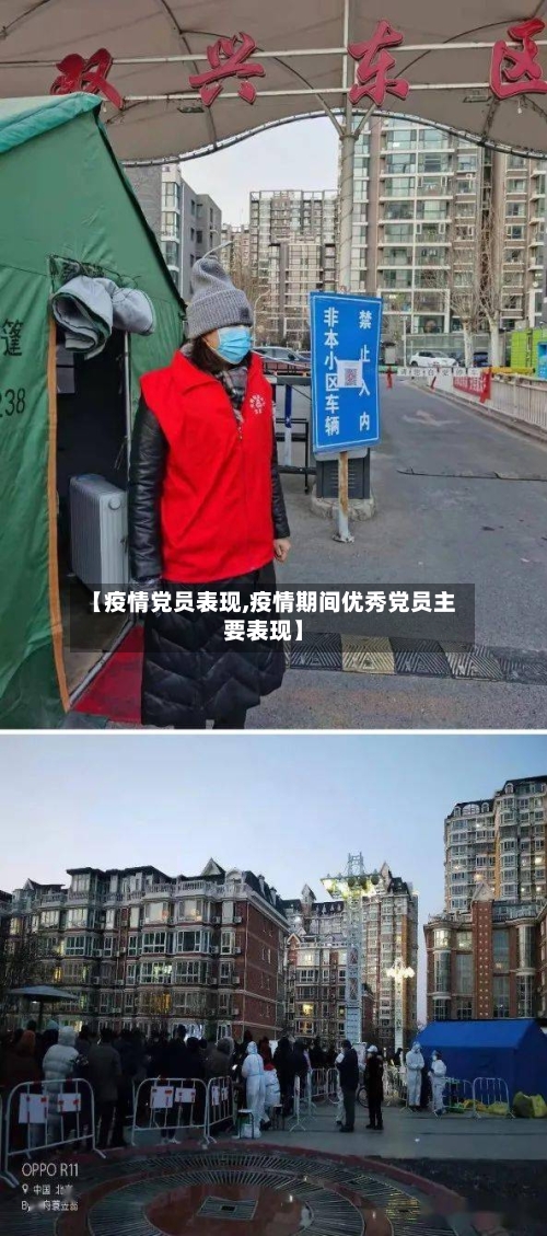 【疫情党员表现,疫情期间优秀党员主要表现】-第1张图片