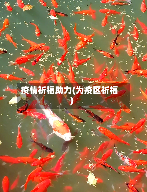 疫情祈福助力(为疫区祈福)-第1张图片