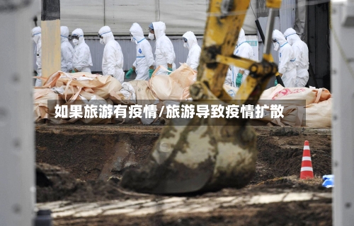 如果旅游有疫情/旅游导致疫情扩散-第3张图片