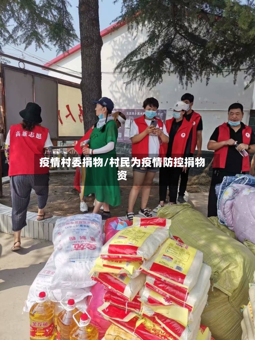 疫情村委捐物/村民为疫情防控捐物资-第3张图片