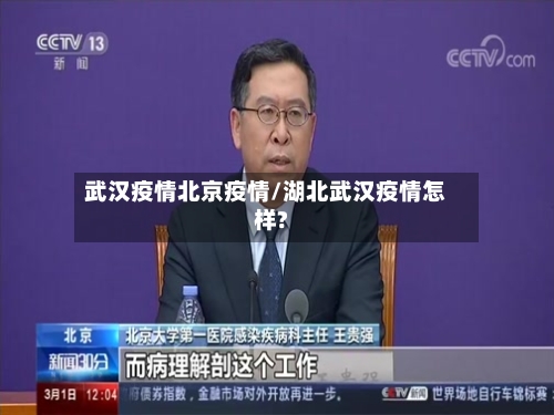 武汉疫情北京疫情/湖北武汉疫情怎样?-第1张图片