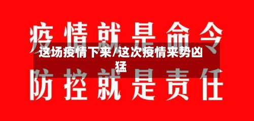 这场疫情下来/这次疫情来势凶猛-第2张图片