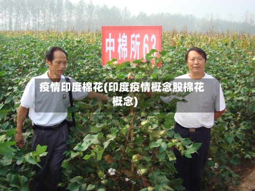 疫情印度棉花(印度疫情概念股棉花概念)-第3张图片