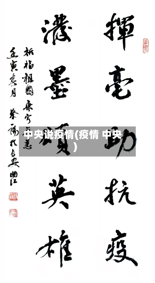 中央说疫情(疫情 中央)-第2张图片