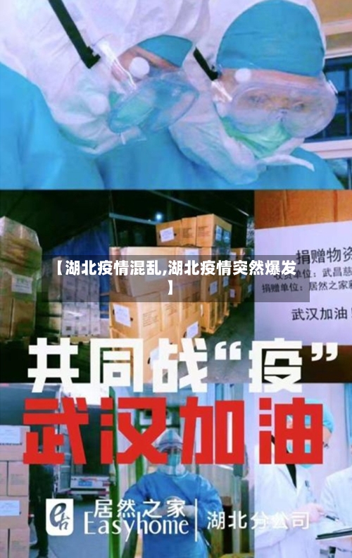 【湖北疫情混乱,湖北疫情突然爆发】-第1张图片