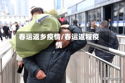 春运返乡疫情/春运返程疫情-第2张图片
