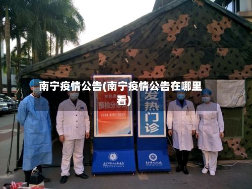 南宁疫情公告(南宁疫情公告在哪里看)-第2张图片