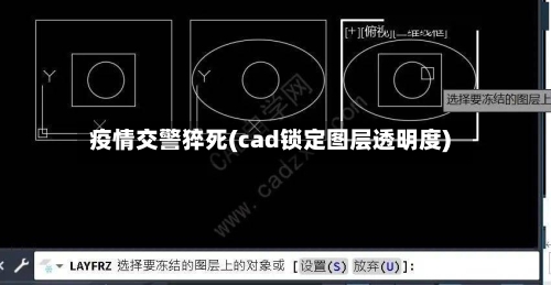 疫情交警猝死(cad锁定图层透明度)-第3张图片