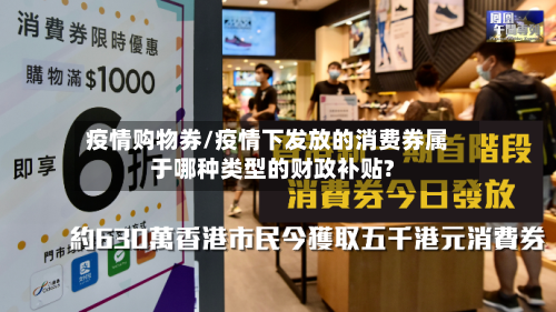 疫情购物券/疫情下发放的消费券属于哪种类型的财政补贴?-第2张图片