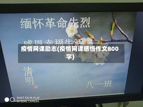 疫情网课励志(疫情网课感悟作文800字)-第1张图片