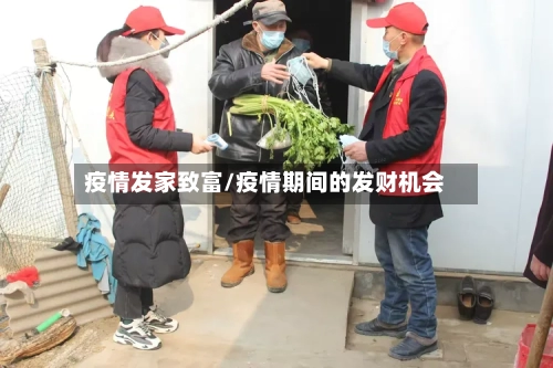 疫情发家致富/疫情期间的发财机会-第2张图片