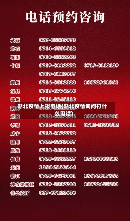 湖北疫情上报电话(湖北疫情询问打什么电话)-第1张图片