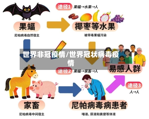 世界非冠疫情/世界冠状病毒疫情-第1张图片