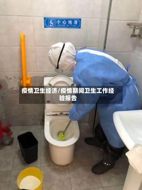 疫情卫生经济/疫情期间卫生工作经验报告-第3张图片