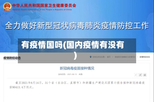 有疫情国吗(国内疫情有没有)-第3张图片