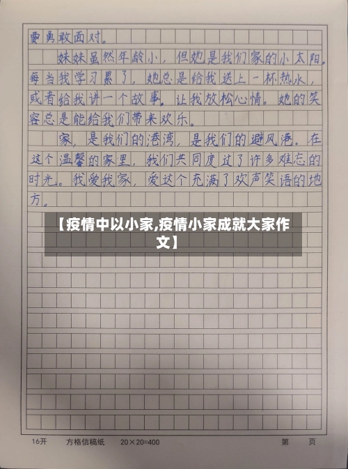 【疫情中以小家,疫情小家成就大家作文】-第2张图片