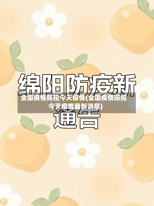 全国疫情防控今天疫情(全国疫情防控今天疫情最新消息)-第2张图片